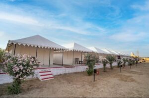 WhatsApp Image 2025-10-06 at 2.29.44 PM