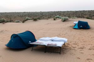 WhatsApp Image 2025-10-06 at 2.29.46 PM (1)