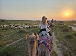 WhatsApp Image 2025-10-06 at 2.29.47 PM